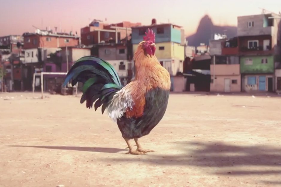 Un coq danse la samba