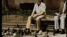 poster-10019-anti-pauvrete-anti-famine-les-pigeons-236x132