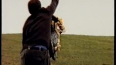 poster-10024-seat-ibiza-eponges-236x132