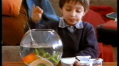 poster-10033-chocosui-s-maurice-236x132