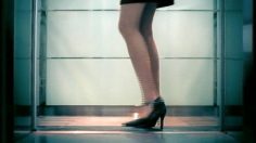 poster-10053-fanniel-h2o-bra-elevator-236x132