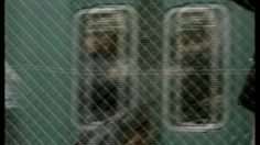 poster-10063-telecom-personal-arnet-subway-236x132