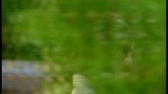 poster-1007-direct-insurance-house-236x132