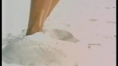 poster-10084-reebok-classic-peace-on-earth-236x132