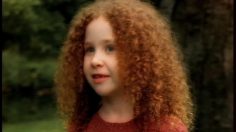 poster-1009-ikea-geese-236x132