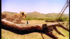 poster-10124-diesel-le-salon-de-coiffure-236x132