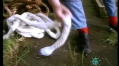 poster-10147-skanetrafiken-bungy-jump-236x132