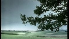 poster-10159-securite-routiere-heaven-can-wait-236x132