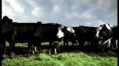 poster-10181-lotto-hessen-loto-insectes-gagnants-236x132