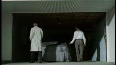 poster-10182-volkswagen-pom-pom-girls-236x132