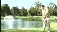 poster-10225-dr-pepper-diet-xga-236x132