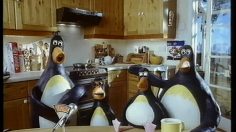 poster-10241-electric-cook-penguins-236x132