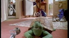 poster-10246-electric-heat-turtle-236x132