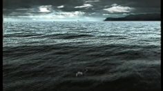 poster-10299-arena-swimming-suits-shark-236x132