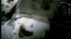 poster-10333-wrangler-western-dream-236x132