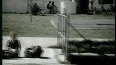 poster-10338-xbox-senses-236x132