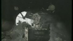 poster-10340-playstation-wolfman-236x132