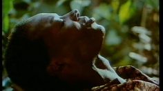 poster-10357-moontiger-insecticide-super-heros-236x132