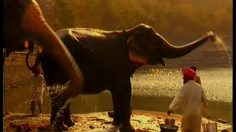 poster-10361-pepsi-elephant-tower-236x132