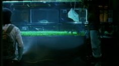 poster-10369-playstation-ps2-jeu-de-foot-tropical-fish-236x132