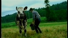 poster-10387-le-rustique-camembert-le-massage-236x132