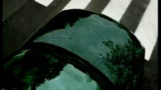 poster-10389-zoo-praha-oiseau-236x132