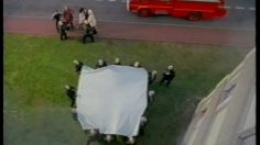 poster-10395-lotus-mouchoirs-les-nez-236x132