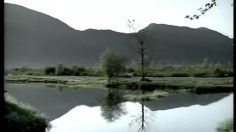 poster-10403-lee-dungarees-emeu-236x132