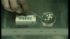 poster-10411-frisk-glasses-236x132