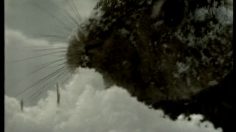 poster-10432-volkswagen-golf-rabbit-le-lapin-236x132