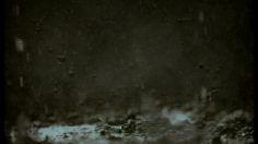 poster-10449-d-aucy-la-nature-vraie-236x132