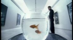 poster-10473-head-shoulders-fish-236x132