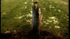 poster-10500-lotto-pro-plus-pop-tv-genies-travestis-236x132