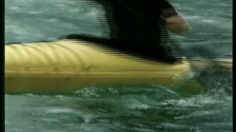 poster-10505-mountain-dew-whale-236x132