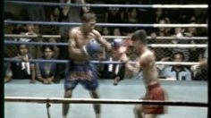 poster-10514-viagra-thai-boxing-236x132