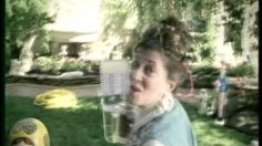 poster-10517-ebay-lawn-lady-236x132