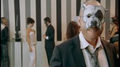 poster-1052-protection-animaux-party-perros-fiesta-236x132