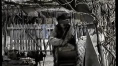 poster-10520-droits-et-libertes-protection-enfance-accordion-236x132