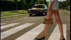 poster-1054-protection-animaux-family-gatos-coche-236x132