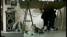 poster-10543-hansaplast-hansaplast-spray-chat-chaussures-puantes-236x132