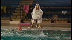 poster-10545-le-barran-la-piscine-236x132