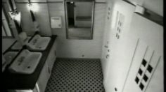 poster-10564-solidarity-4-aide-aux-chiottes-236x132