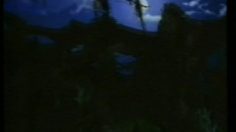 poster-10567-budweiser-crapauds-236x132