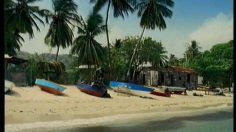 poster-10571-malibu-contender-236x132