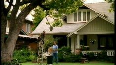 poster-10591-united-healthcare-assurance-maladie-hornet-s-nest-236x132