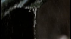 poster-10604-rtl-ressemblances-236x132