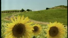 poster-10621-toyota-corolla-trap-236x132