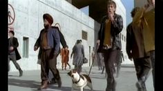 poster-10633-xelibri-the-face-of-the-future-236x132