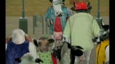 poster-10636-halftime-beef-bites-sick-236x132