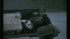 poster-10657-sasol-fabric-236x132